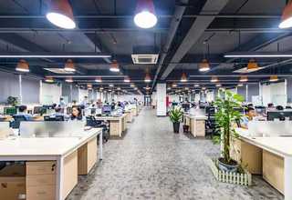 四川多功能芒果干包装机哪个好