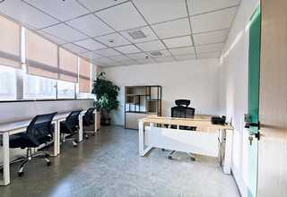 宁波真姬菇干品