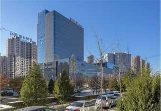 湛江粉碎机厂家