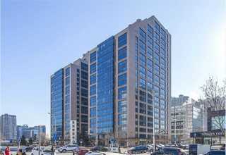 山东黄花梨圈椅定制