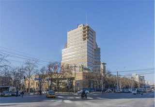 山东小型木片机实体厂家