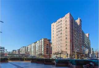 杭州薄雾蓝莓苗批发价格